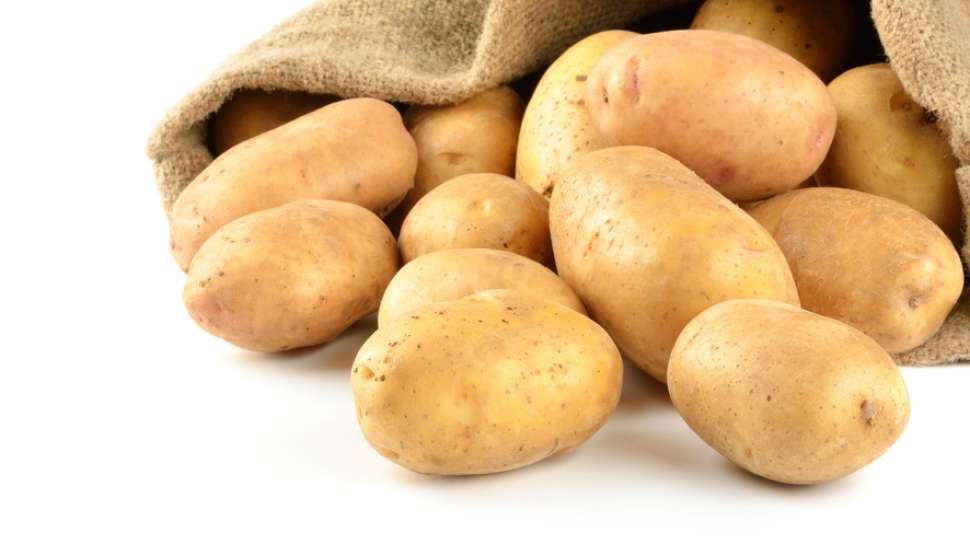 Nikmati Kreativitas Dalam Masakan Sehari-Hari dengan Olahan Kentang