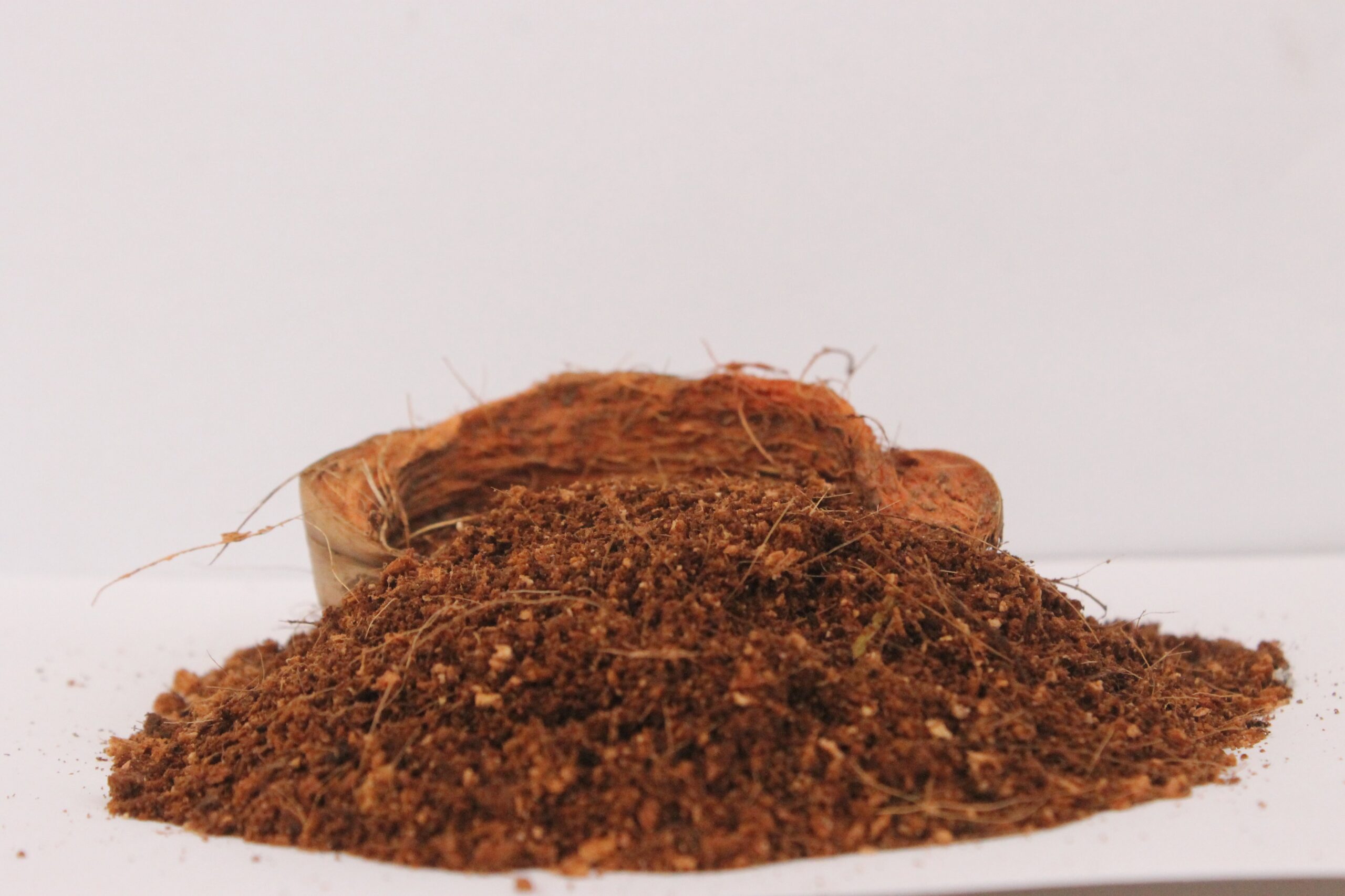 cocopeat untuk tanaman hias