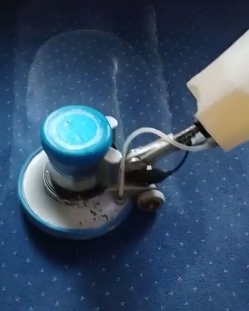 Cuci Karpet di Tempat VS Cuci Karpet di Tempat