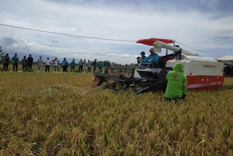 apa-itu-alat-pertanian-modern-combine-harvester-f1-country