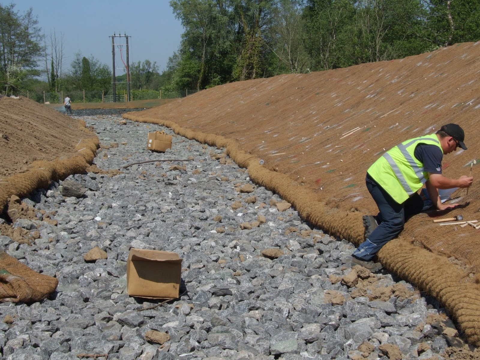 ekosistem kelapa jaring sabut