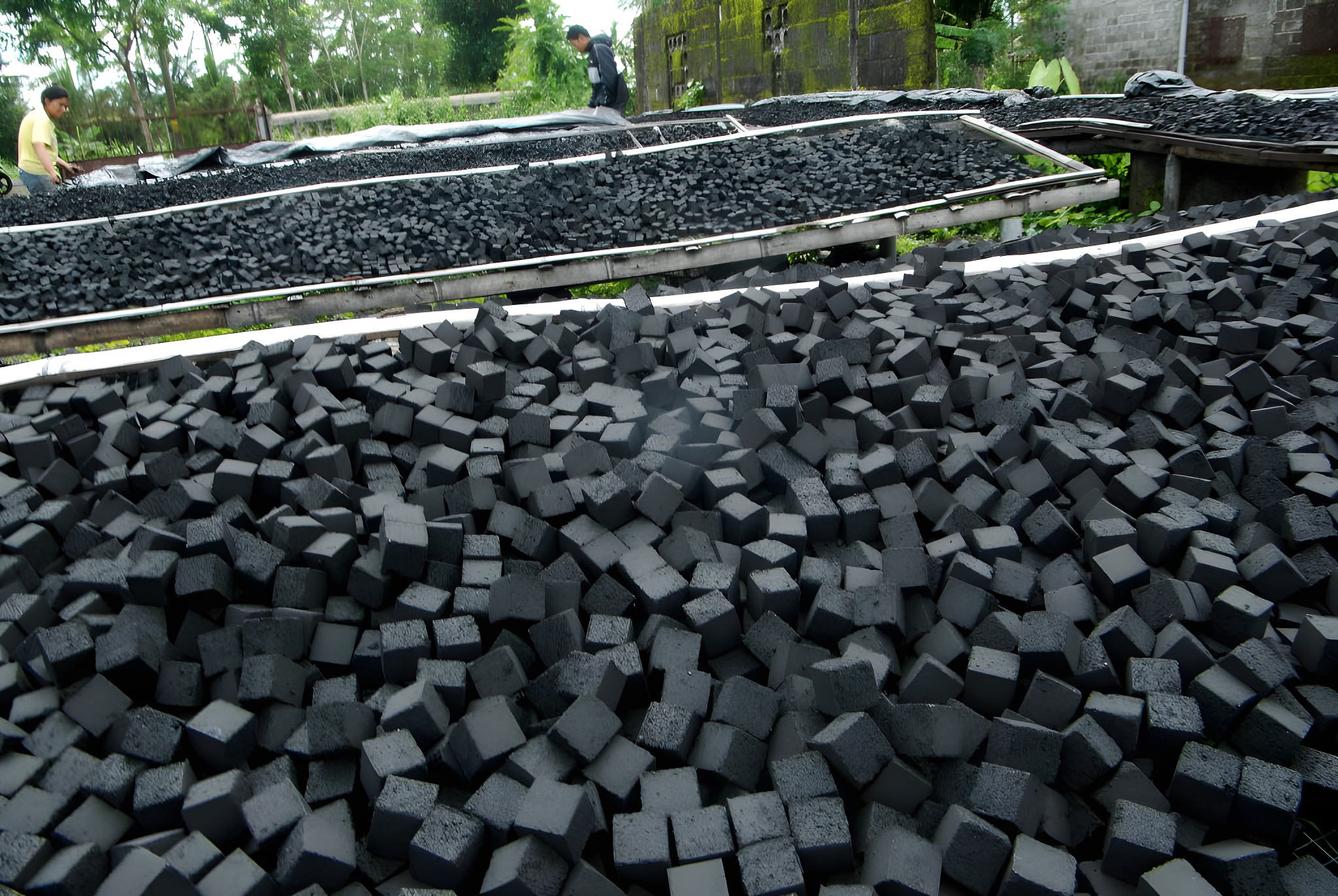 jenis-briket-yang-diekspor