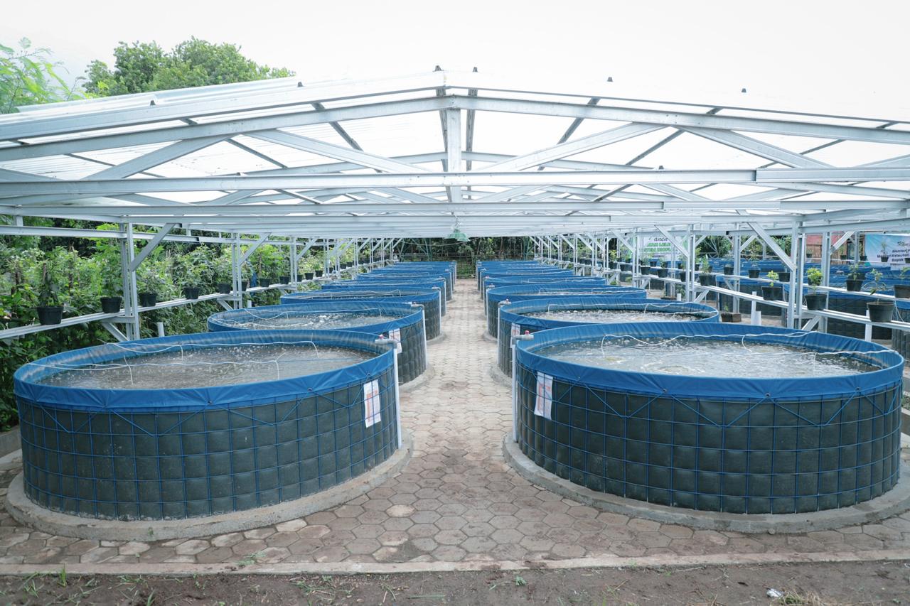 Budidaya Ikan Nila Bioflok