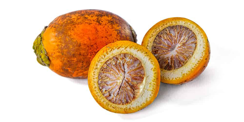 manfaat pinang muda untuk kesehatan