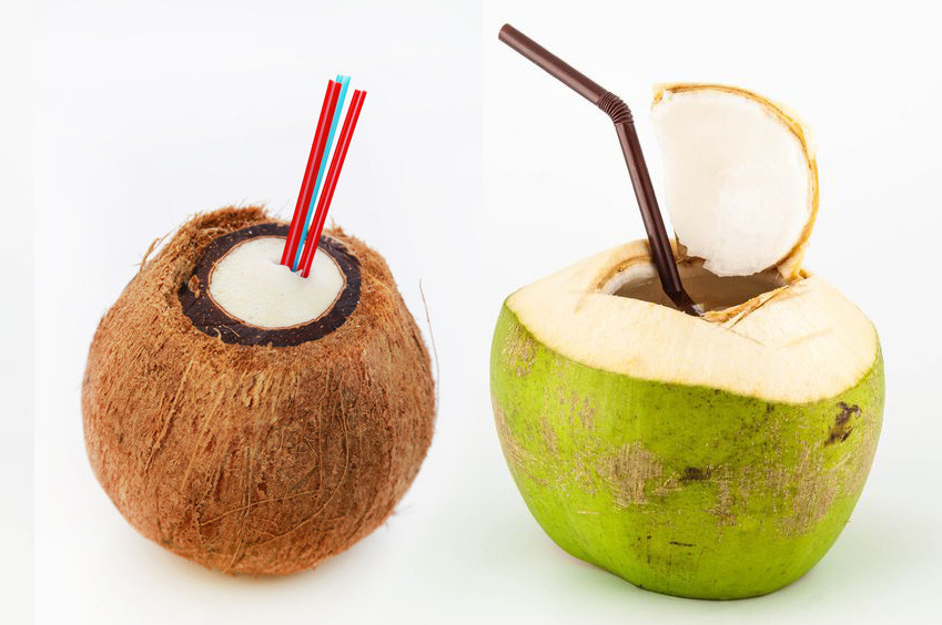 Ciri -ciri -ciri kelapa tua dan muda