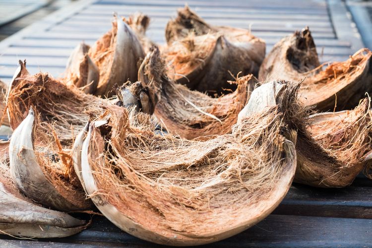 Serat Kelapa dan Fungsinya