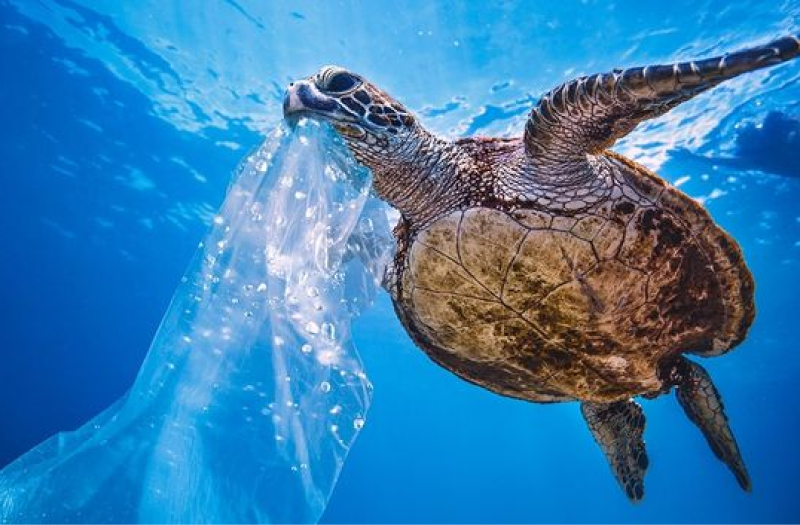 dampak sampak terhadap lingkungan