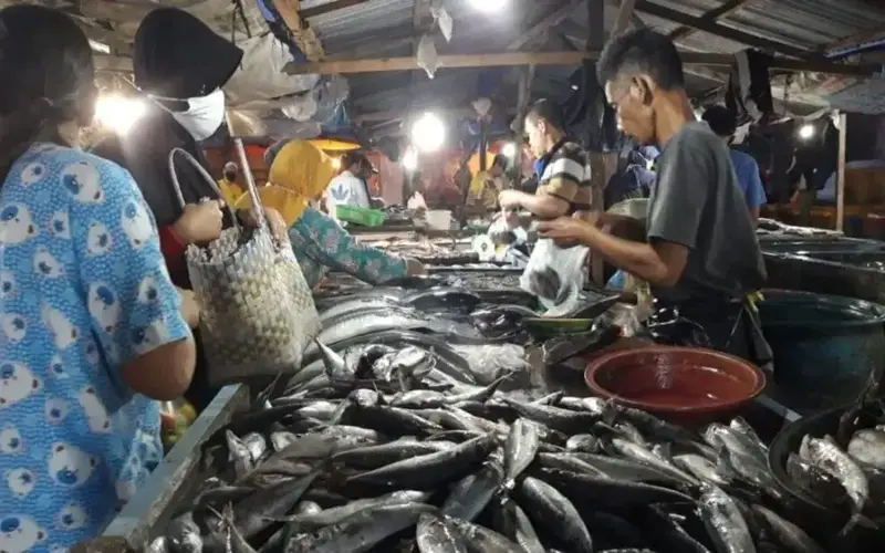 tips agar tidak rugi dalam budidaya lele